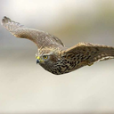 emeraldgreenwaters avatar