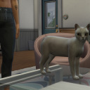 emily0401sims avatar