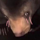 emmyisfriendly avatar