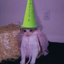 emomemolemoemo avatar