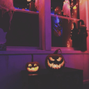 emotional-zebra avatar