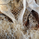 emperormoth1889 avatar