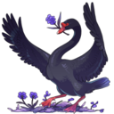 enamored-swan avatar