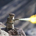 enchantednightchild avatar