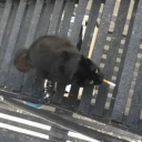 endlessphosphenes avatar