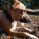 endlessstringofconsequences avatar