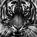 endorsementblog avatar