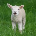 energyandmatter avatar