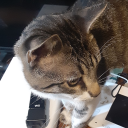 enheduannasposts avatar