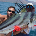 enlightenmentisgreen avatar