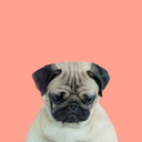 enterthefuckinvoid avatar