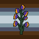 entropically-intersex avatar