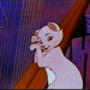 entropy-of-me avatar