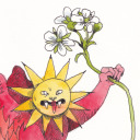 entropysideeffect avatar