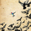 enyaakal-blog avatar