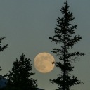 ephhemeralite avatar