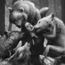 epiphanichiraeth avatar