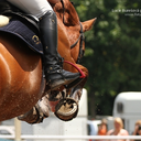 equestrian-time avatar