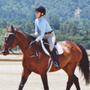 equestrian15 avatar