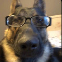 equestrianolmypics1996 avatar