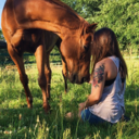 equestrianprep avatar