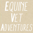 equinevetadventures avatar