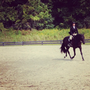 equitation-isfurg-blog avatar