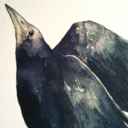 erikshermanart avatar