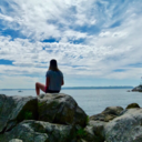 escapetothe-trees avatar