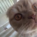 eslemderdademir avatar