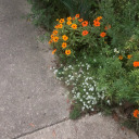 esotericbologna avatar