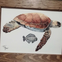 espirituslibres avatar