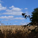 essenceandparadoxes avatar