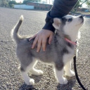 eternalentity avatar