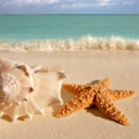 eternallyenchante-blog avatar