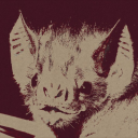 ethereal-space-boy avatar