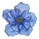 etherealising avatar