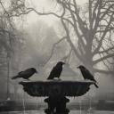 etherealmultiplicity avatar