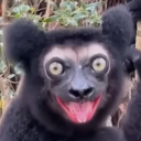 euclidean-viridian avatar