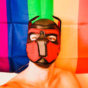 europeancubpup avatar