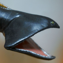 eurychphanpelcael avatar