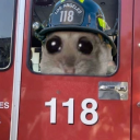 evanbuckleysbeautifulblueeyes avatar