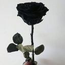 evenifitsalie avatar