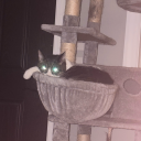 evenmorebasicpotathoe avatar