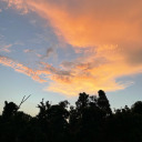 event-h0riz0nn avatar