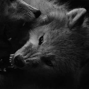 eventhedevilisanangel avatar