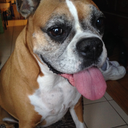 evenwhenimsleepinikeepmyeyesopen avatar