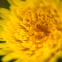 everlark-your-own-adventure avatar