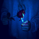 every-word-torn-apart avatar