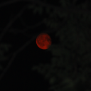 everyoneiscynical avatar